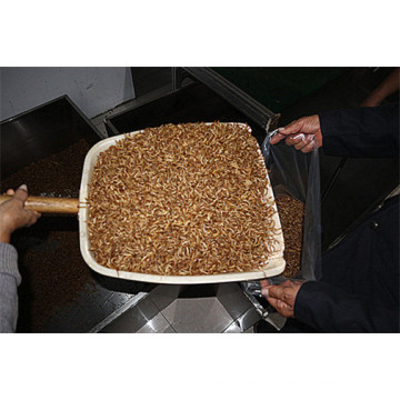 Dried Mealworm Powder Protein Powder Insect